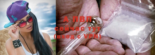 тгк Баксан
