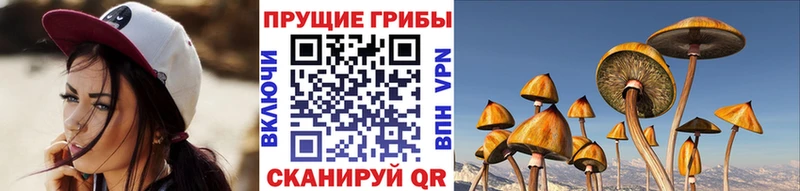Галлюциногенные грибы Psilocybine cubensis  маркетплейс как зайти  Петухово 